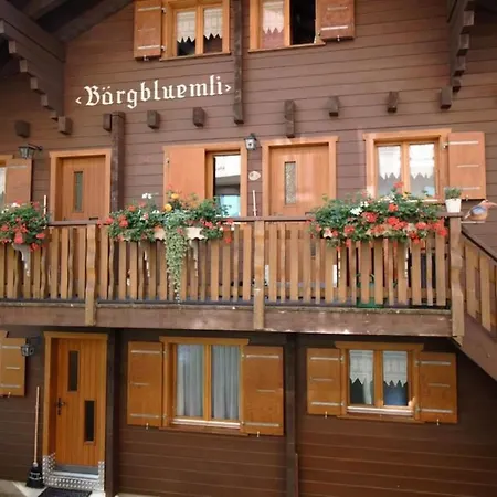 Baergblueemli 2- Og Ost Studio- Dusche Oder Bad- Wc 1 1-2 Zimmerwohnung- 2-betten By Interhome Apartamento *
