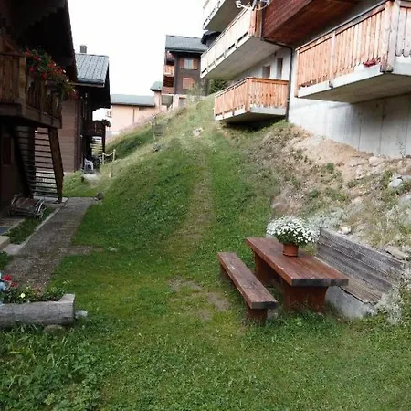 Baergblueemli 2- Og Ost Studio- Dusche Oder Bad- Wc 1 1-2 Zimmerwohnung- 2-betten By Interhome Apartamento Bettmeralp