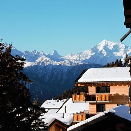 Apartamento Baergblueemli 2- Og Ost Studio- Dusche Oder Bad- Wc 1 1-2 Zimmerwohnung- 2-betten By Interhome Bettmeralp